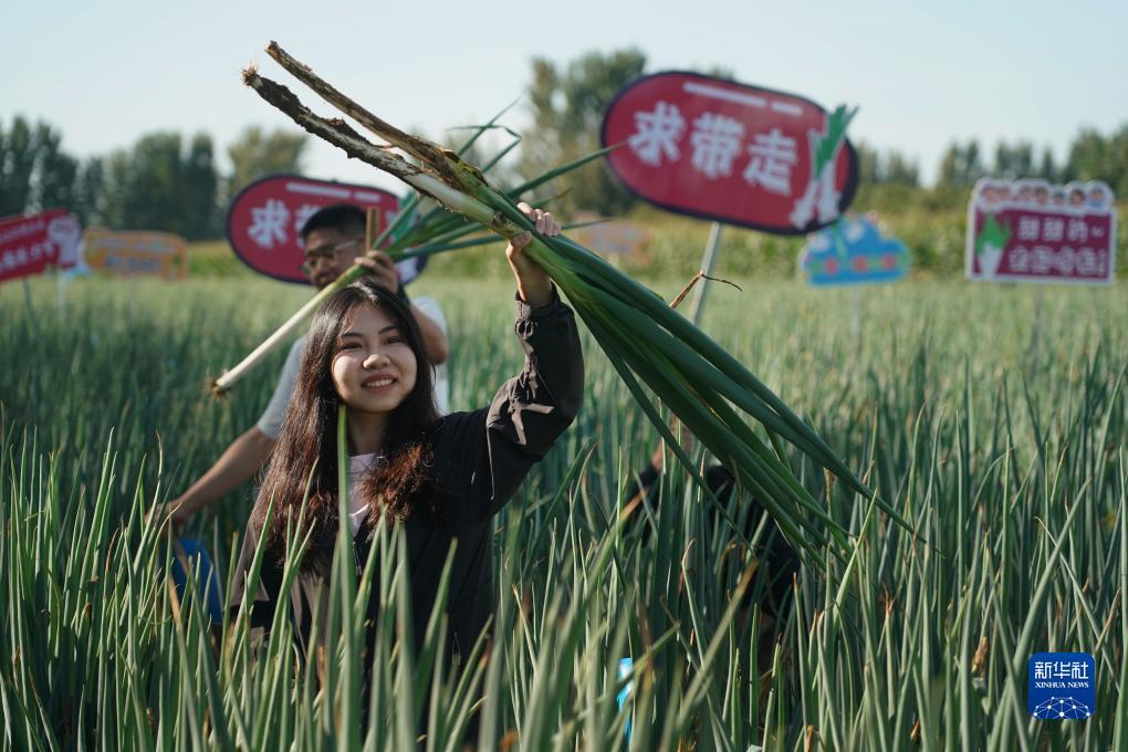 ag亚游会